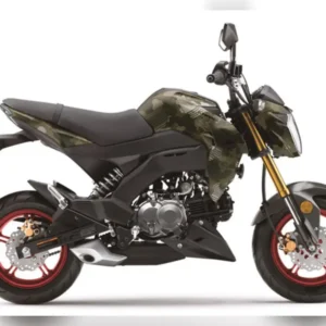 Kawasaki Z125 Pro